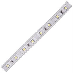 Ecola LED strip 220V STD  4,8W/m IP68 12x7 60Led/m 6000K 4Lm/LED 240Lm/m лента  20м. S20D05ESB - фото 3826