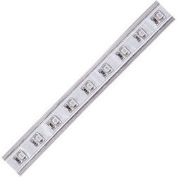 Ecola LED strip 220V STD  5,7W/m IP68 16x8 72Led/m RGB разноцветная лента  10м. S10M05ESB - фото 3845