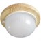 Ecola GX53 LED НБО-03-60-011 светильник Круг накладной IP65 дерево Клен 1*GX53 матовый 220х84 TP53R1ECA - фото 3467