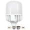 Ecola High Power LED Premium  80W 220V универс. E27/E40 (лампа) 6000K 210х120mm HPUD80ELC - фото 3543