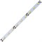 Ecola LED strip STD  4,8W/m 12V IP20   8mm  60Led/m 6000K 4Lm/LED 240Lm/m светодиодная лента на катушке  5м. S2LD05ESB - фото 4149